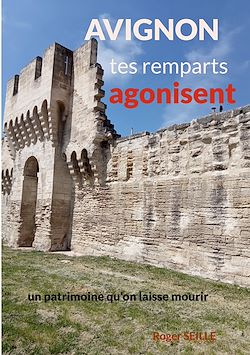 Télécharger le livre :  Avignon, tes remparts agonisent