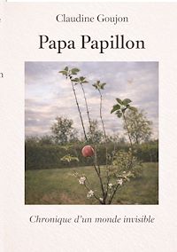 Téléchargez le livre :  Papa Papillon