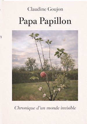 Téléchargez le livre :  Papa Papillon