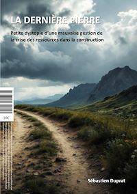 Téléchargez le livre :  La dernière pierre