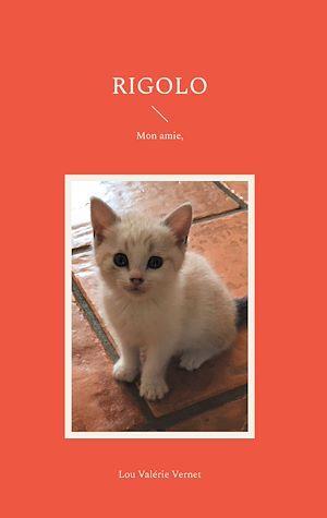 Téléchargez le livre :  Rigolo