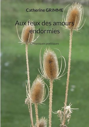 Download the eBook: Aux feux des amours endormies