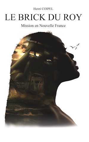 Download the eBook: Le Brick du Roy