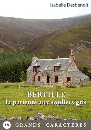 Téléchargez le livre :  Bertille la patiente aux souliers gris