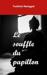 Téléchargez le livre :  Le souffle du papillon