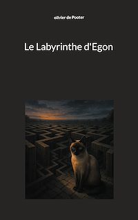 Téléchargez le livre :  Le Labyrinthe d'Egon