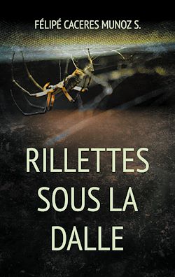 Télécharger le livre :  Rillettes sous la Dalle