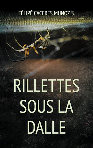 Download the eBook: Rillettes sous la Dalle