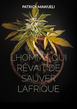 Télécharger le livre :  L'homme qui rêvait de sauver l'Afrique