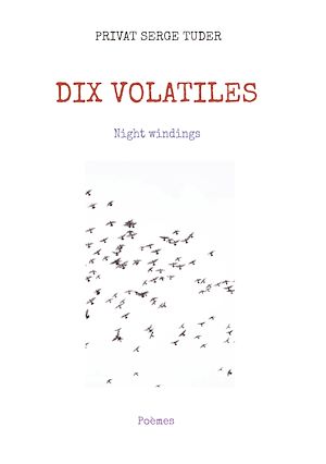 Download the eBook: DIX VOLATILES