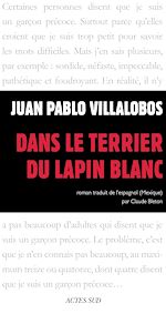 Télécharger le livre :  Dans le terrier du lapin blanc