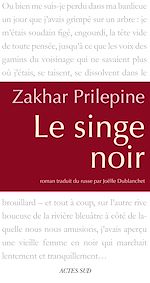 Télécharger le livre :  Le singe noir