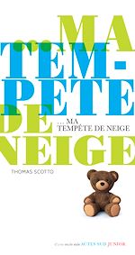 Télécharger le livre :  Ma tempête de neige