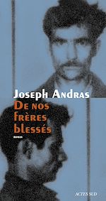 Télécharger le livre :  De nos frères blessés