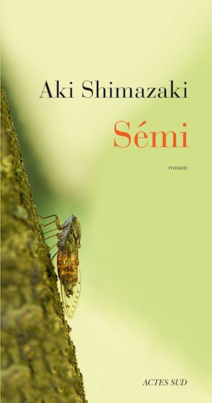 Téléchargez le livre :  Sémi