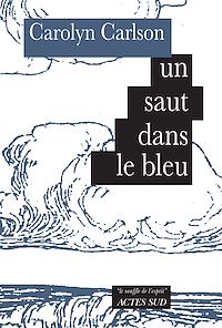 Téléchargez le livre :  un saut dans le bleu