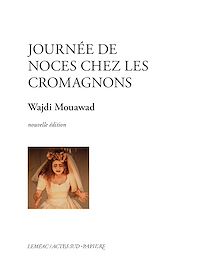 Télécharger le livre : Journée de noces chez les Cromagnons