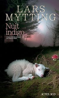 Téléchargez le livre :  Nuit indigo