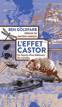Télécharger le livre : L'effet castor