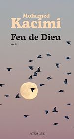 Télécharger le livre :  Feu de Dieu