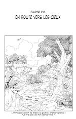 Télécharger le livre :  One Piece édition originale - Chapitre 236