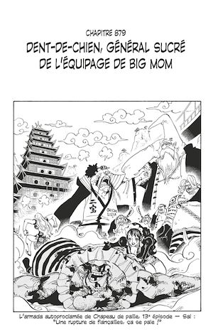 Téléchargez le livre :  One Piece édition originale - Chapitre 879