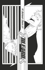 Télécharger le livre :  Bleach - T02 - Chapitre 14