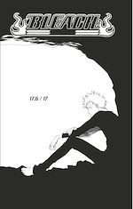 Télécharger le livre :  Bleach - T03 - Chapitre 17