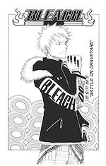Télécharger le livre :  Bleach - T03 - Chapitre 22