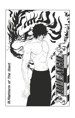 Téléchargez le livre :  Bleach - T05 - Chapitre 39