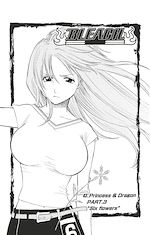 Télécharger le livre :  Bleach - T05 - Chapitre 43