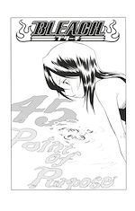 Télécharger le livre :  Bleach - T06 - Chapitre 45