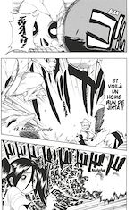 Télécharger le livre :  Bleach - T06 - Chapitre 48
