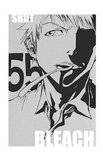 Télécharger le livre :  Bleach - T07 - Chapitre 55