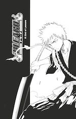 Télécharger le livre :  Bleach - T08 - Chapitre 67