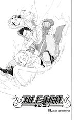 Télécharger le livre :  Bleach - T08 - Chapitre 69