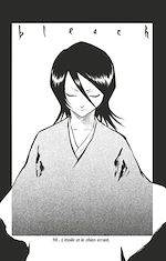Télécharger le livre :  Bleach - T11 - Chapitre 98