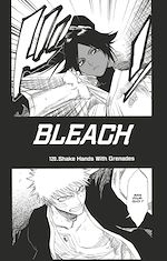 Télécharger le livre :  Bleach - T14 - Chapitre 120