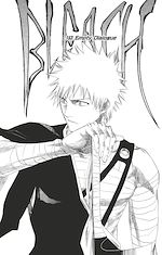Télécharger le livre :  Bleach - T18 - Chapitre 153