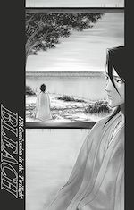 Télécharger le livre :  Bleach - T21 - Chapitre 179