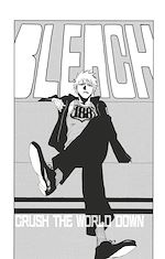 Télécharger le livre :  Bleach - T22 - Chapitre 188