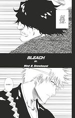 Télécharger le livre :  Bleach - T23 - Chapitre 201