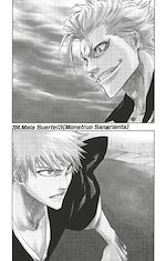 Télécharger le livre :  Bleach - T23 - Chapitre 204