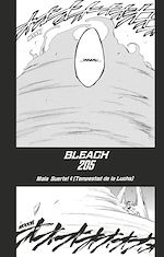 Télécharger le livre :  Bleach - T23 - Chapitre 205