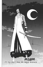 Télécharger le livre :  Bleach - T24 - Chapitre 212