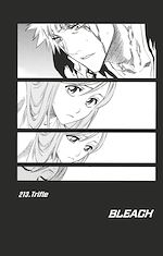 Télécharger le livre :  Bleach - T24 - Chapitre 213