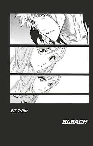 Téléchargez le livre :  Bleach - T24 - Chapitre 213