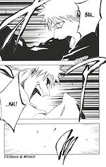 Télécharger le livre :  Bleach - T25 - Chapitre 219