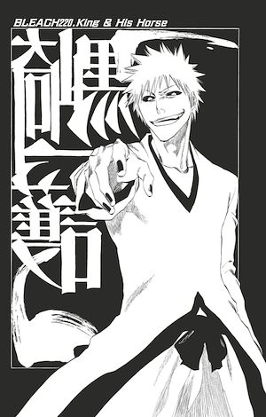 Téléchargez le livre :  Bleach - T25 - Chapitre 220