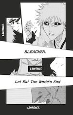 Télécharger le livre :  Bleach - T25 - Chapitre 221